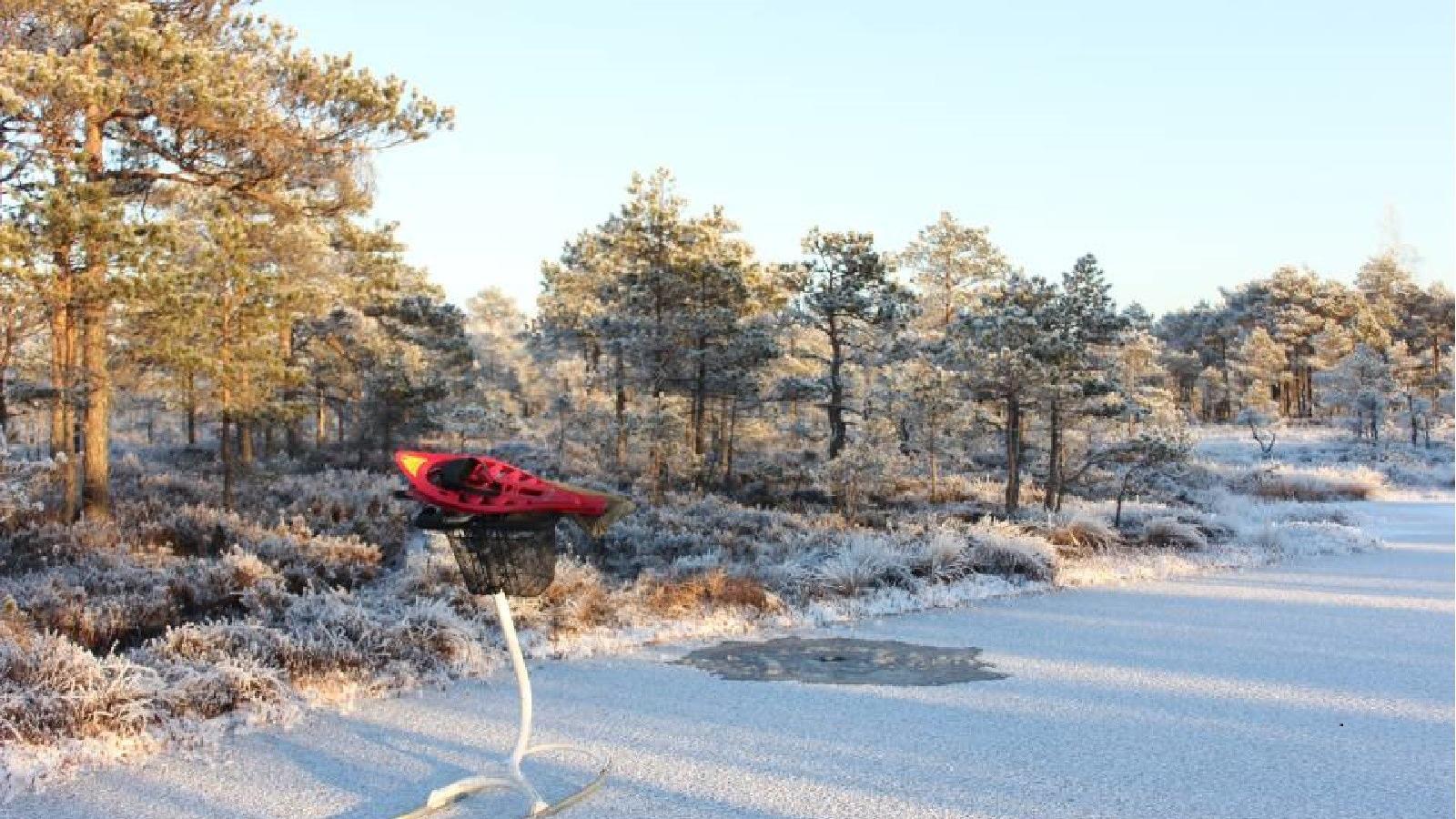 Matk tõukekelkudega Rubina soo rabalaugastel ja laukajärvel