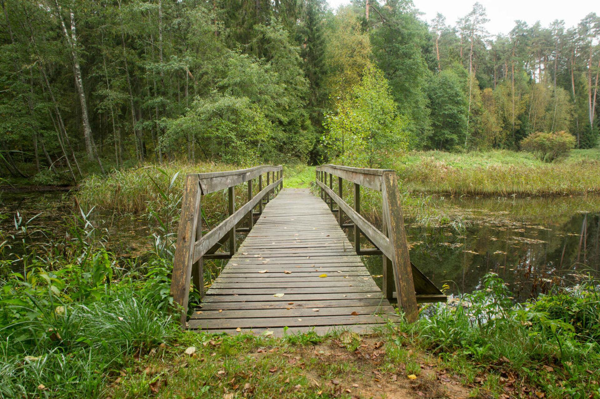 Soontaga matkarada