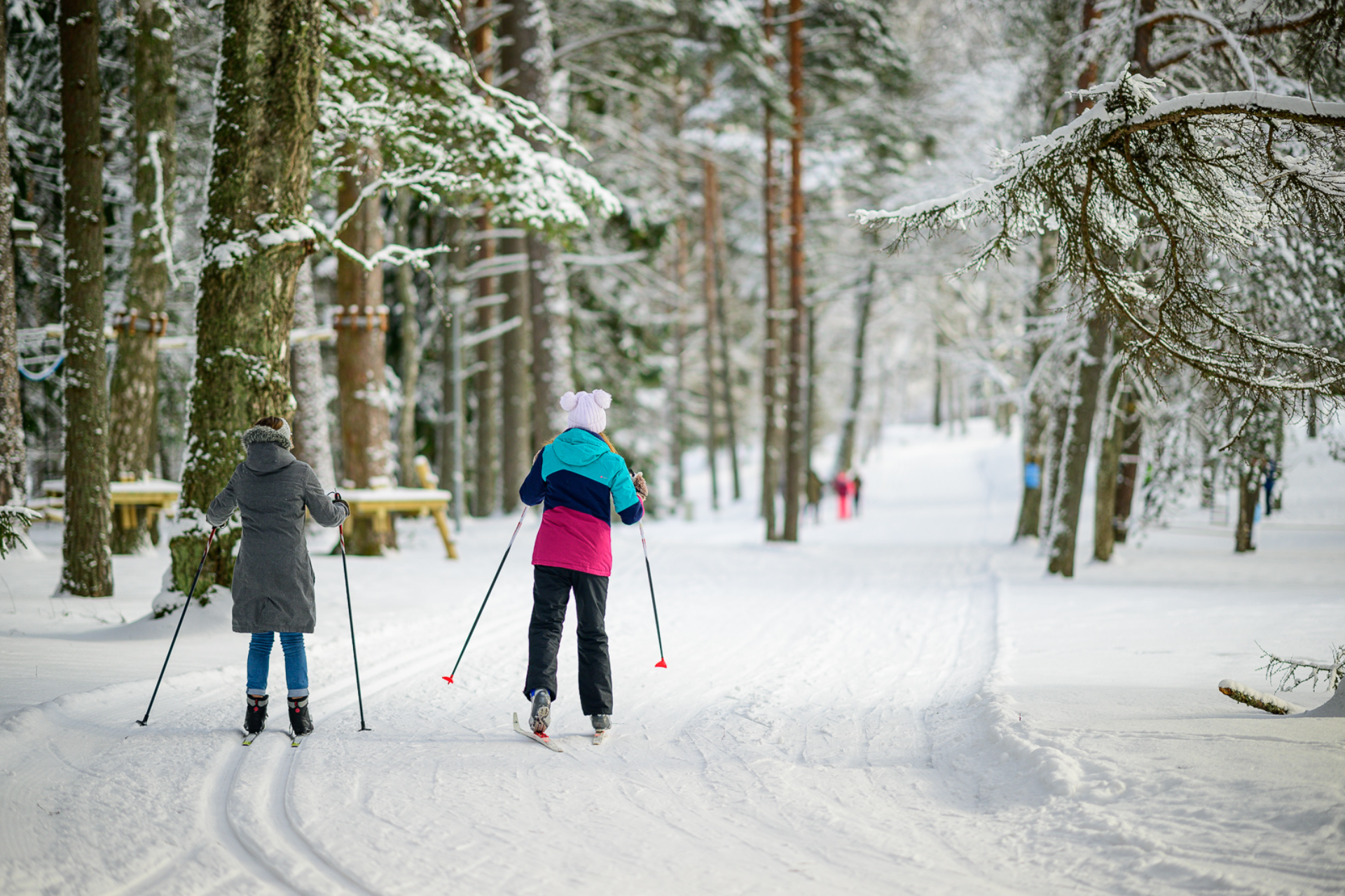 Tõrva Terviseradade Härma suusaring