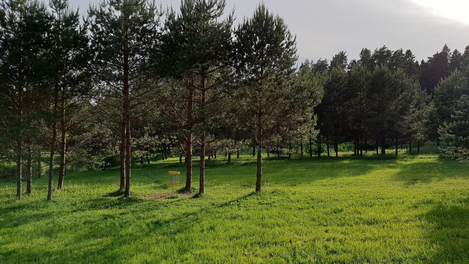 Tõrva discgolfi park