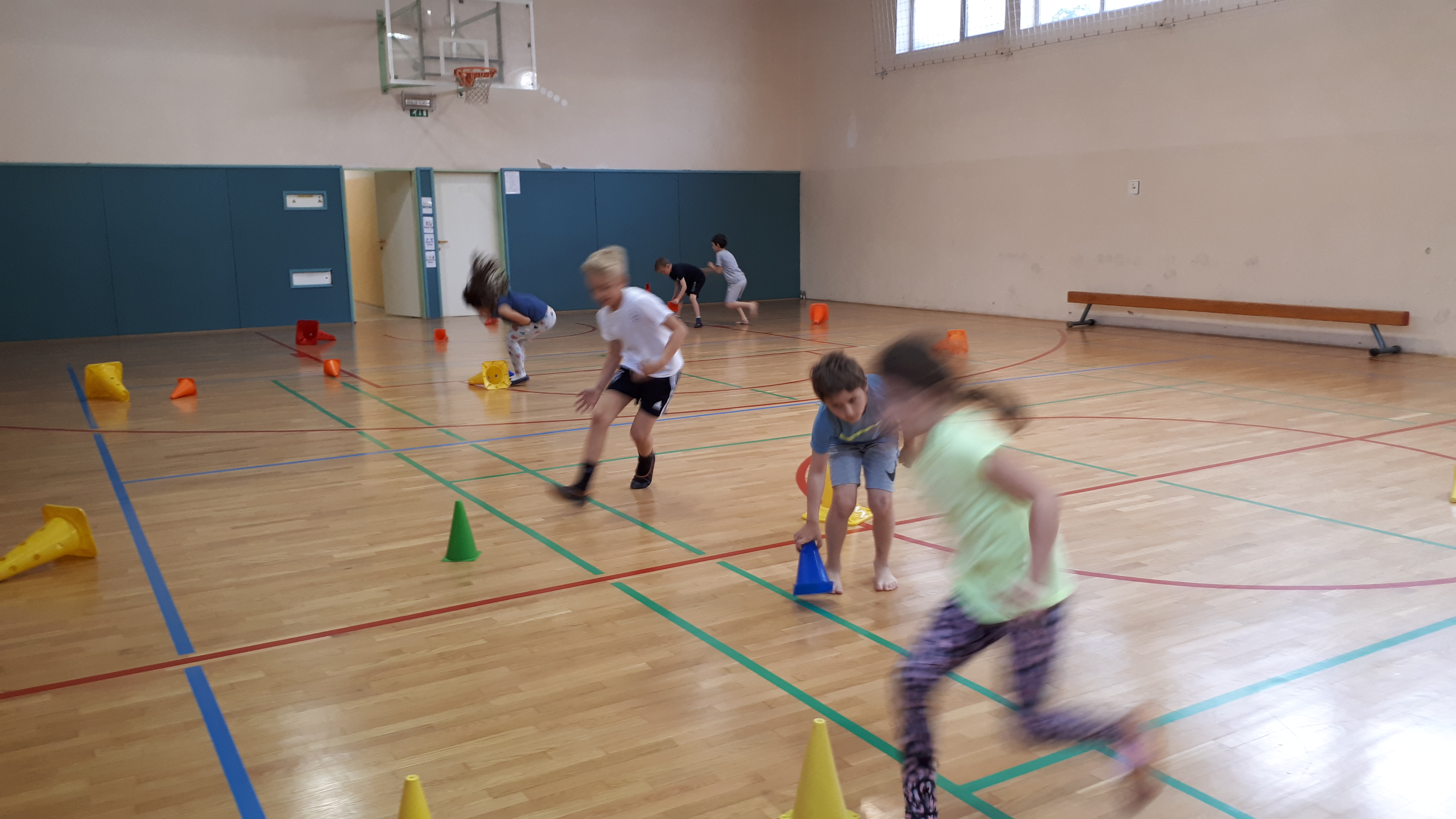 Spordiring “Sepps”