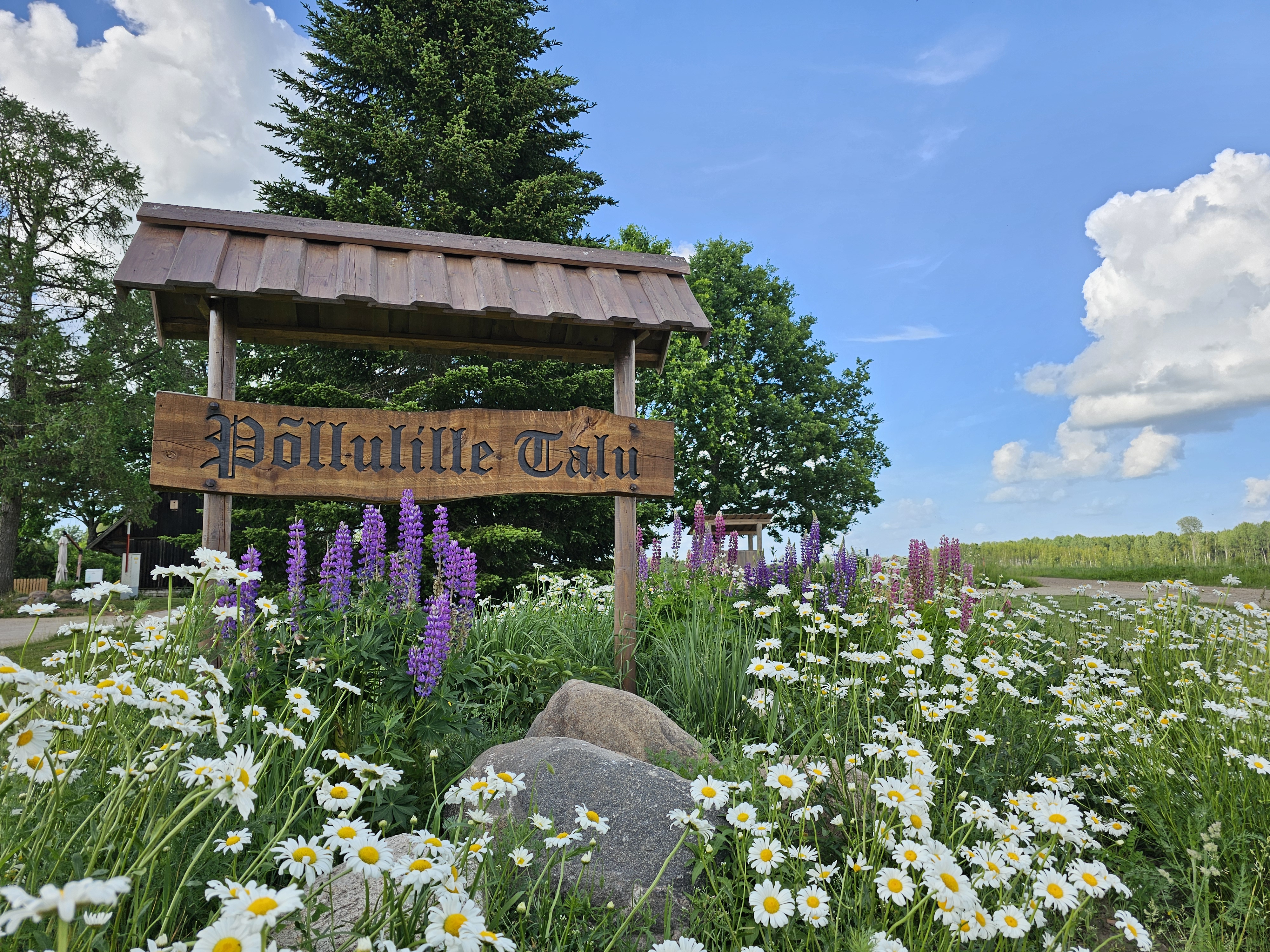 Põllulille Talu külalistemaja