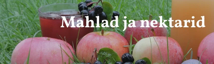 Homme Elva Spordibaaris mokteilide koolitus, kus kasutatakse Tagametsa Mahe mahlasid!!!!