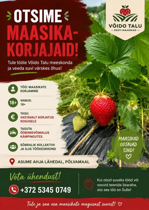 Võido talu otsib maasika korjajaid