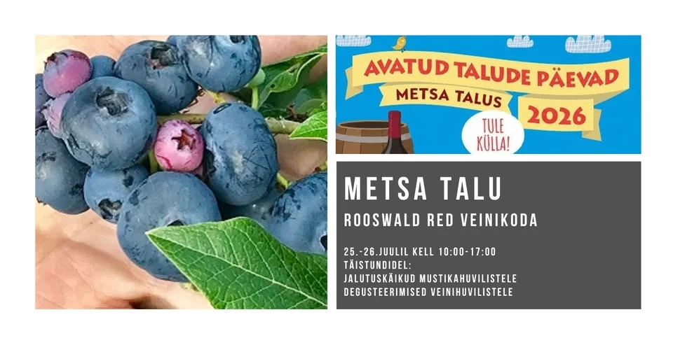 Metsa Talu